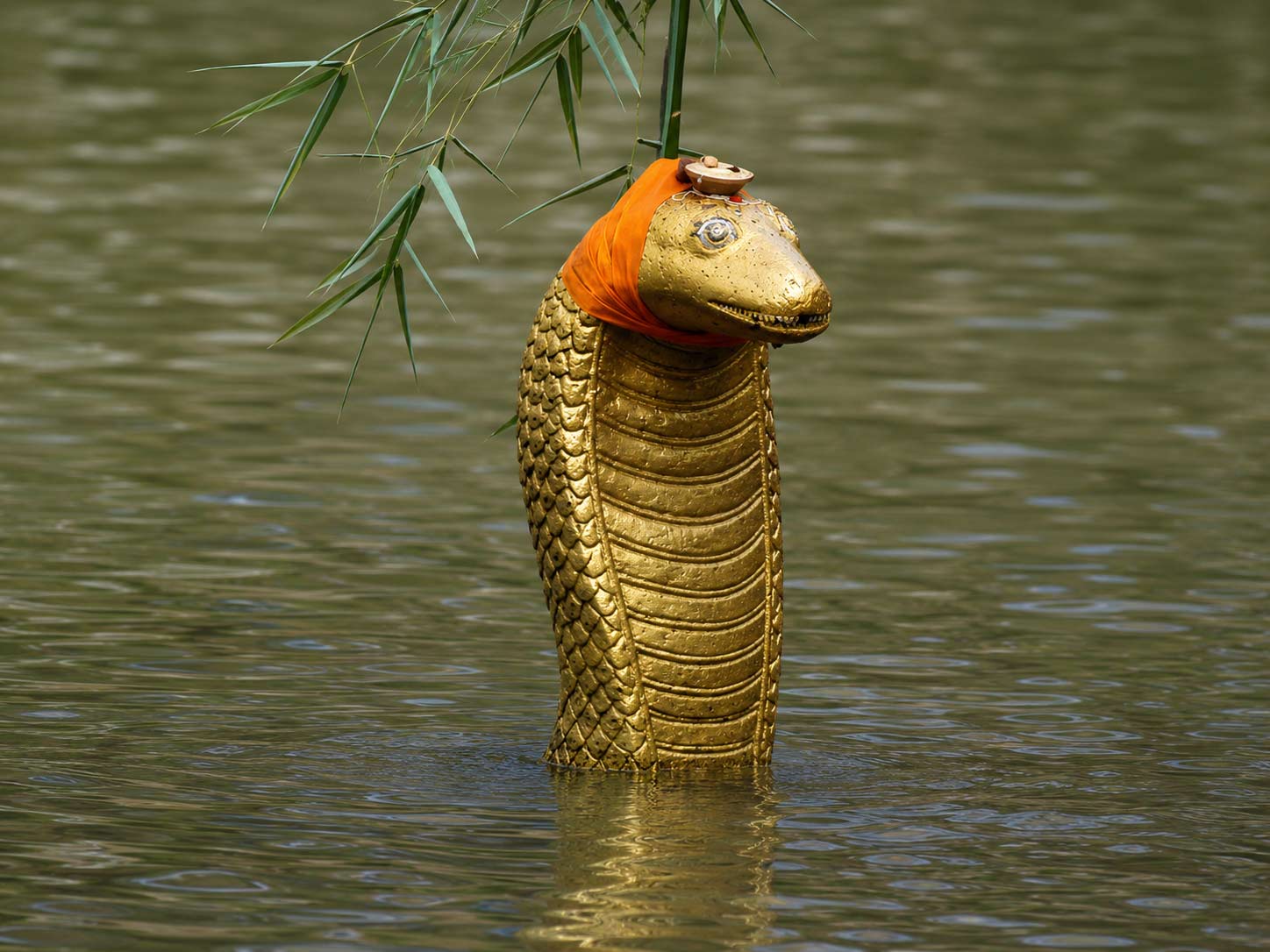 Naag Panchami 2026: History, significance, traditions and the worship of serpent deities