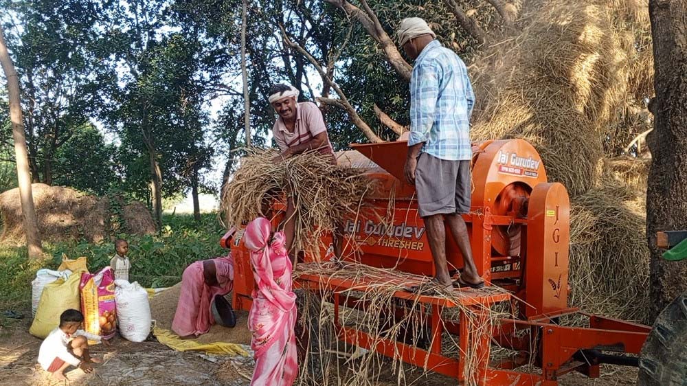 कामदारको अभाव र बढ्दो ज्यालाले कपिलवस्तुका किसान थ्रेसरतर्फ आकर्षित