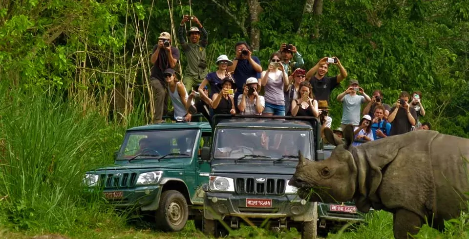 Chitwan National Park welcomes over 20,000 visitors during Dashain, collects Rs 17.34 million in revenue